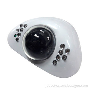 Hidden Camera, Auto Tracking White Balance, Easy-to-install, Sony CCD Sensor